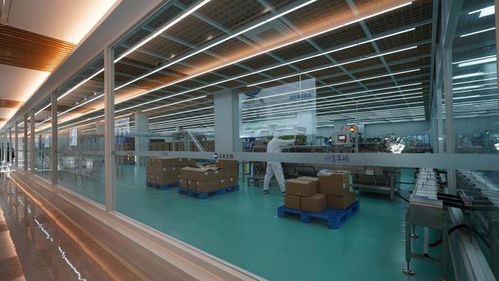 未來生物 以卓越品質(zhì)與專業(yè)服務(wù)，鑄就生物技術(shù)開發(fā)領(lǐng)域的信賴之選