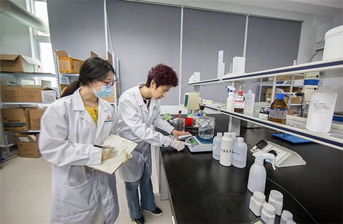 抓品質(zhì)重服務(wù)，海智生物專注品質(zhì)，倚夢(mèng)前行