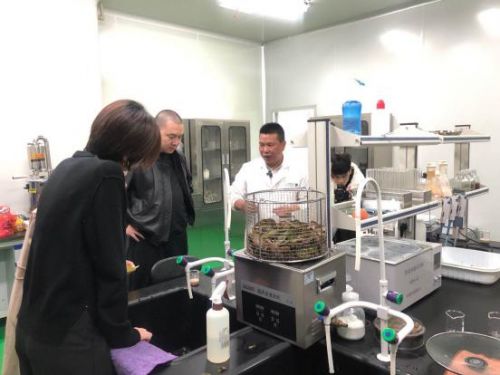 科技賦能農(nóng)業(yè)新篇章 CCTV 1聚焦云谷田園LED植物工廠，珍稀本草金線蓮成功培育引領(lǐng)生物技術(shù)新服務(wù)